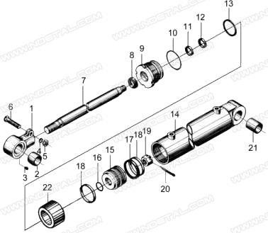 Seal d25